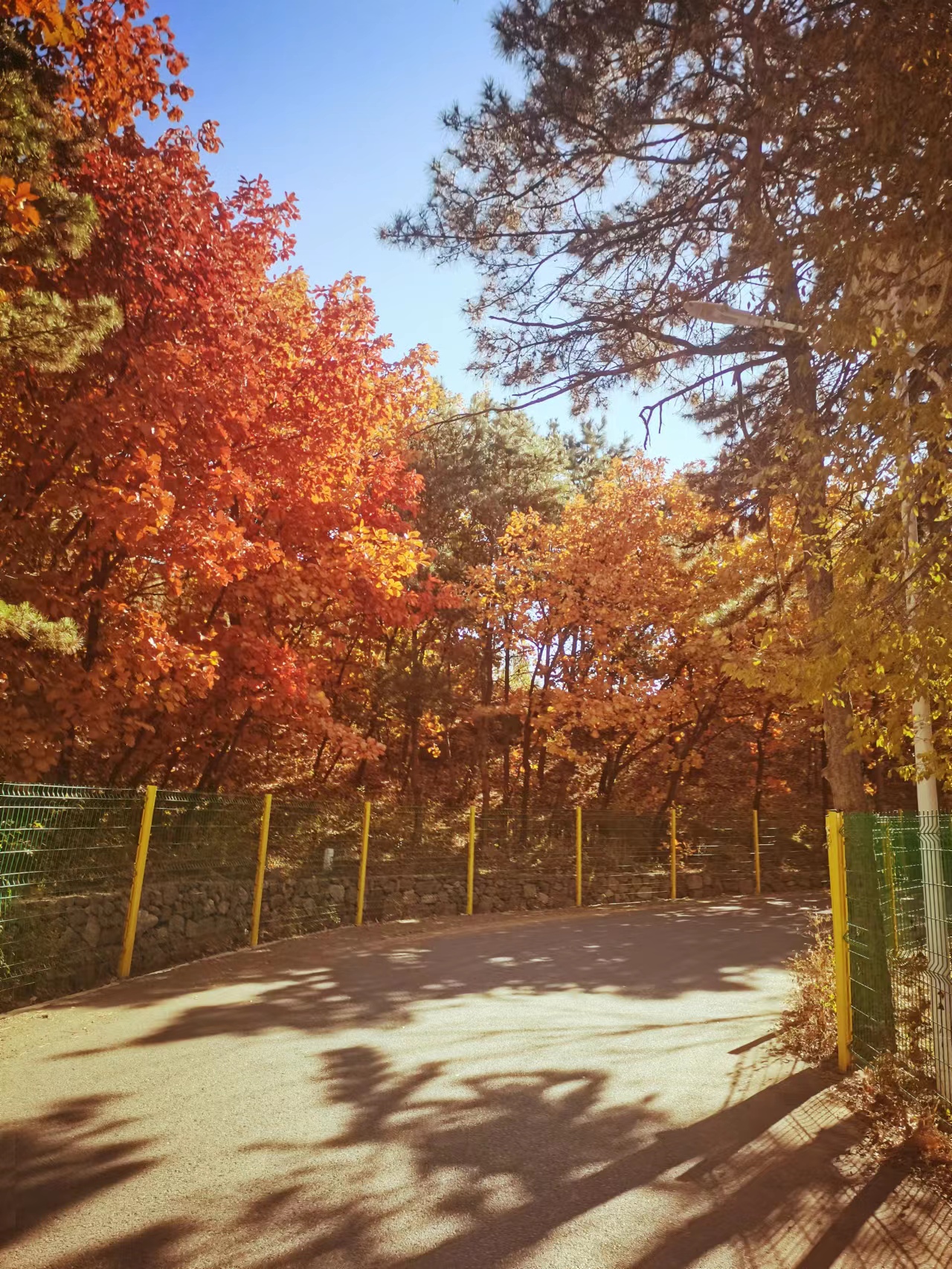 秋日胜景1.jpg
