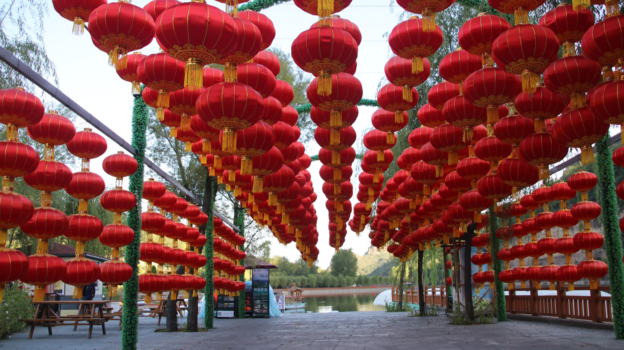 灯笼1.jpg