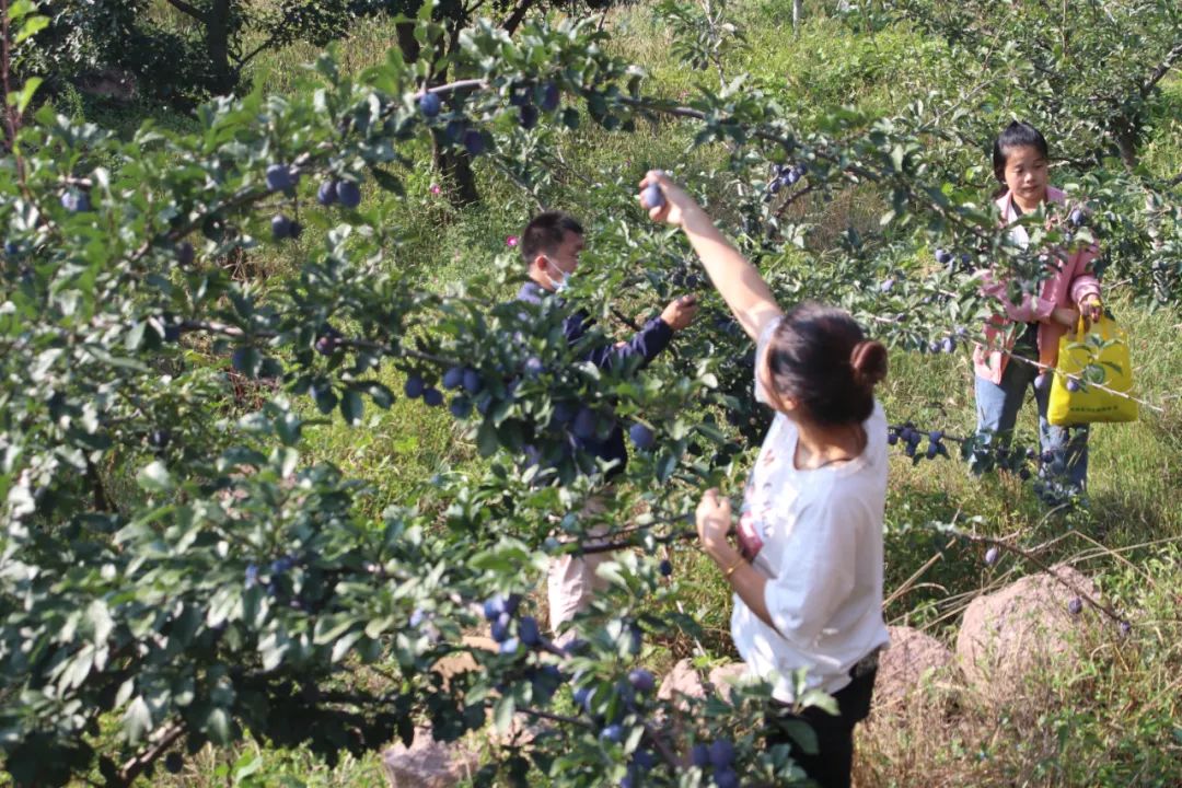元旦051.jpg